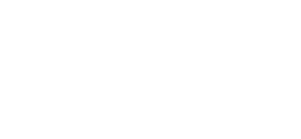 尊龙凯时健康牛羊肉产品