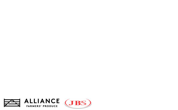 尊龙凯时健康牛羊肉产品