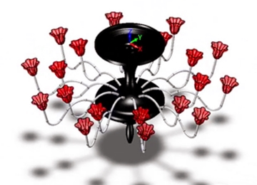 实例教程5：用6163银河3D进行花瓣吊灯设计