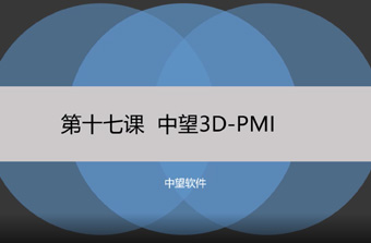 功能教程17：PMI